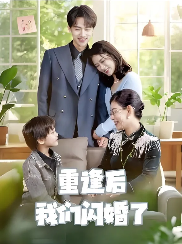 重逢后我们闪婚了海报