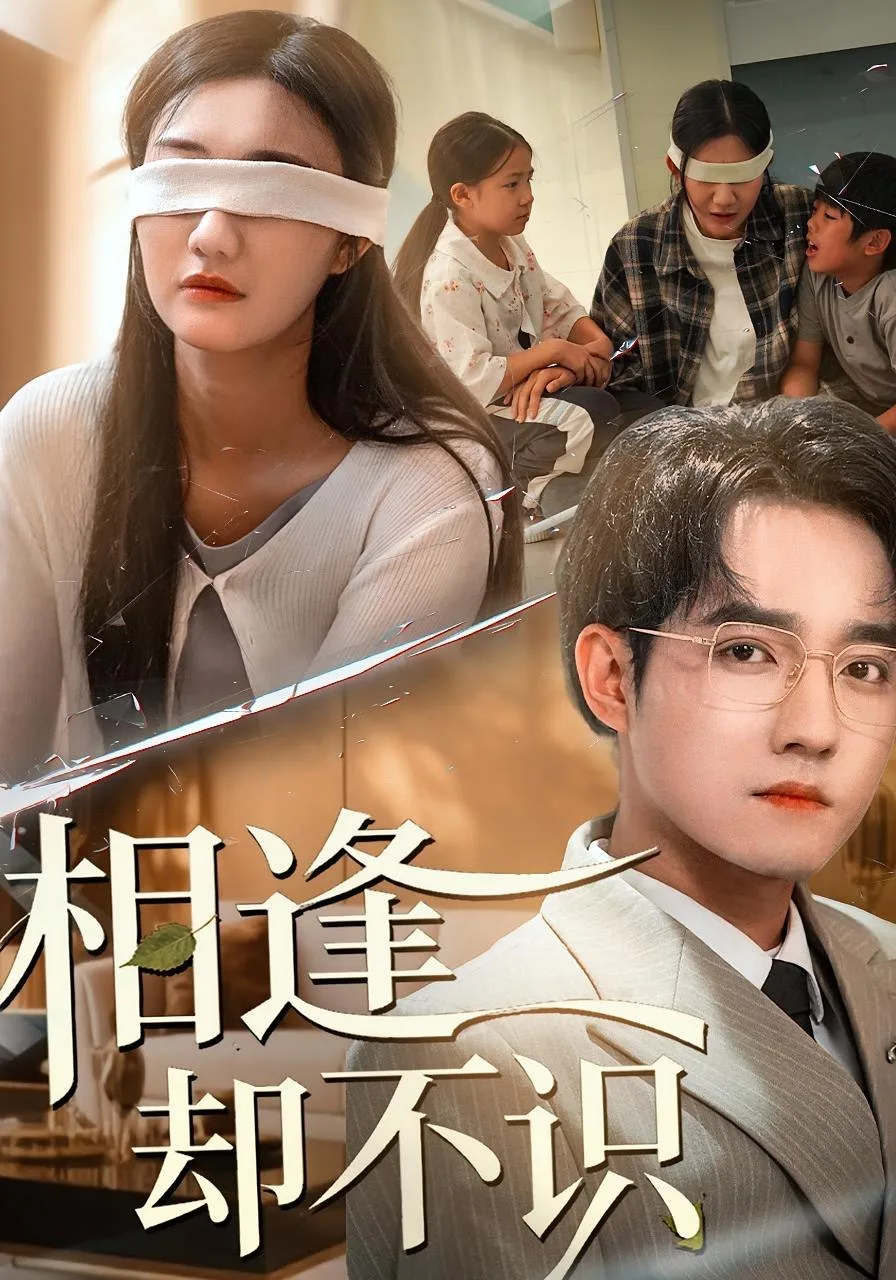 相逢却不识海报