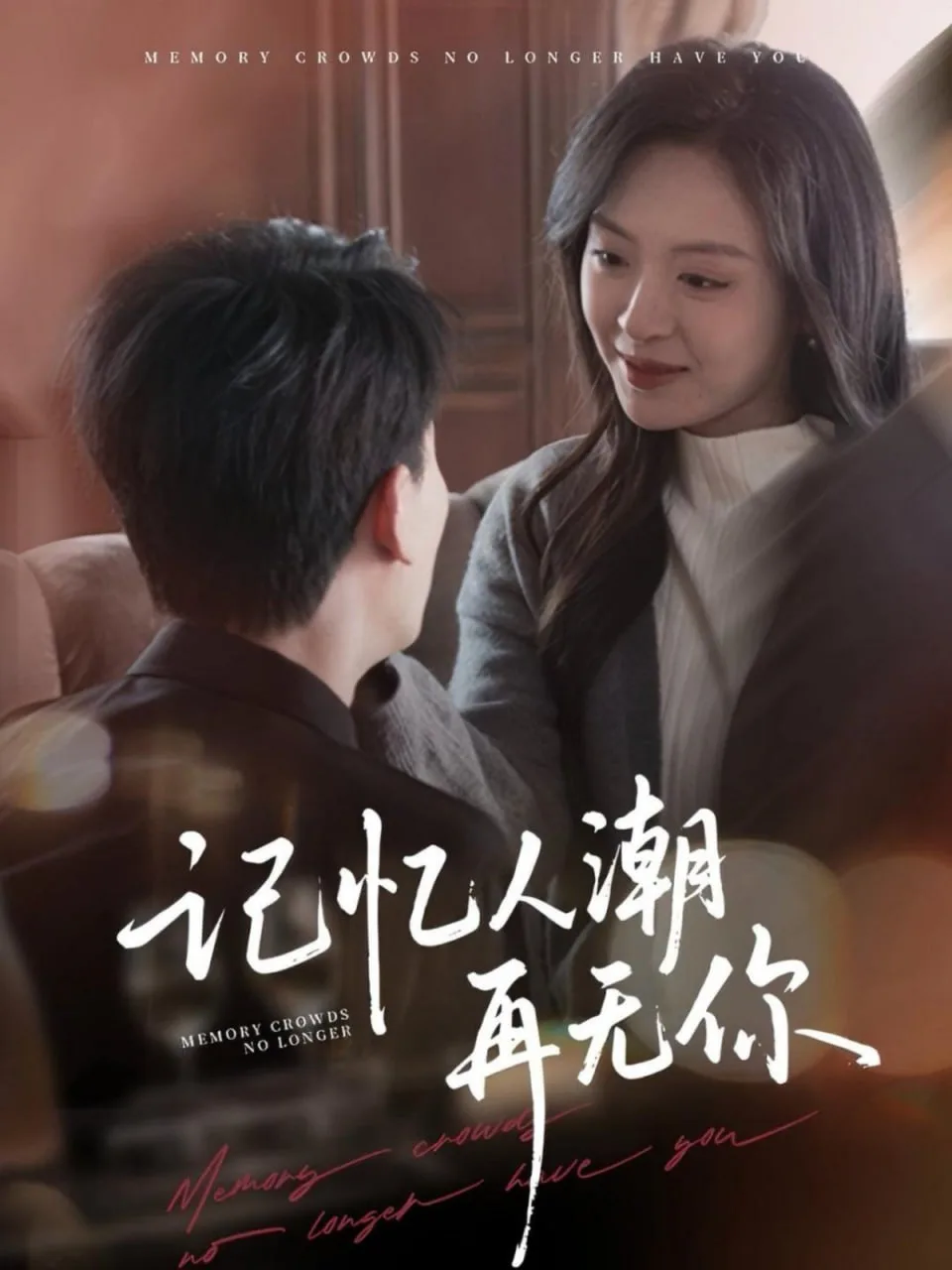 记忆人潮再无你（转身已是暮色烬）海报