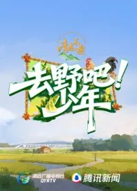 去野吧少年海报