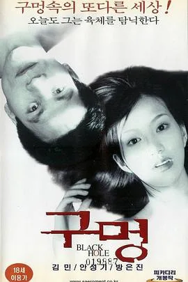 黑洞2000海报