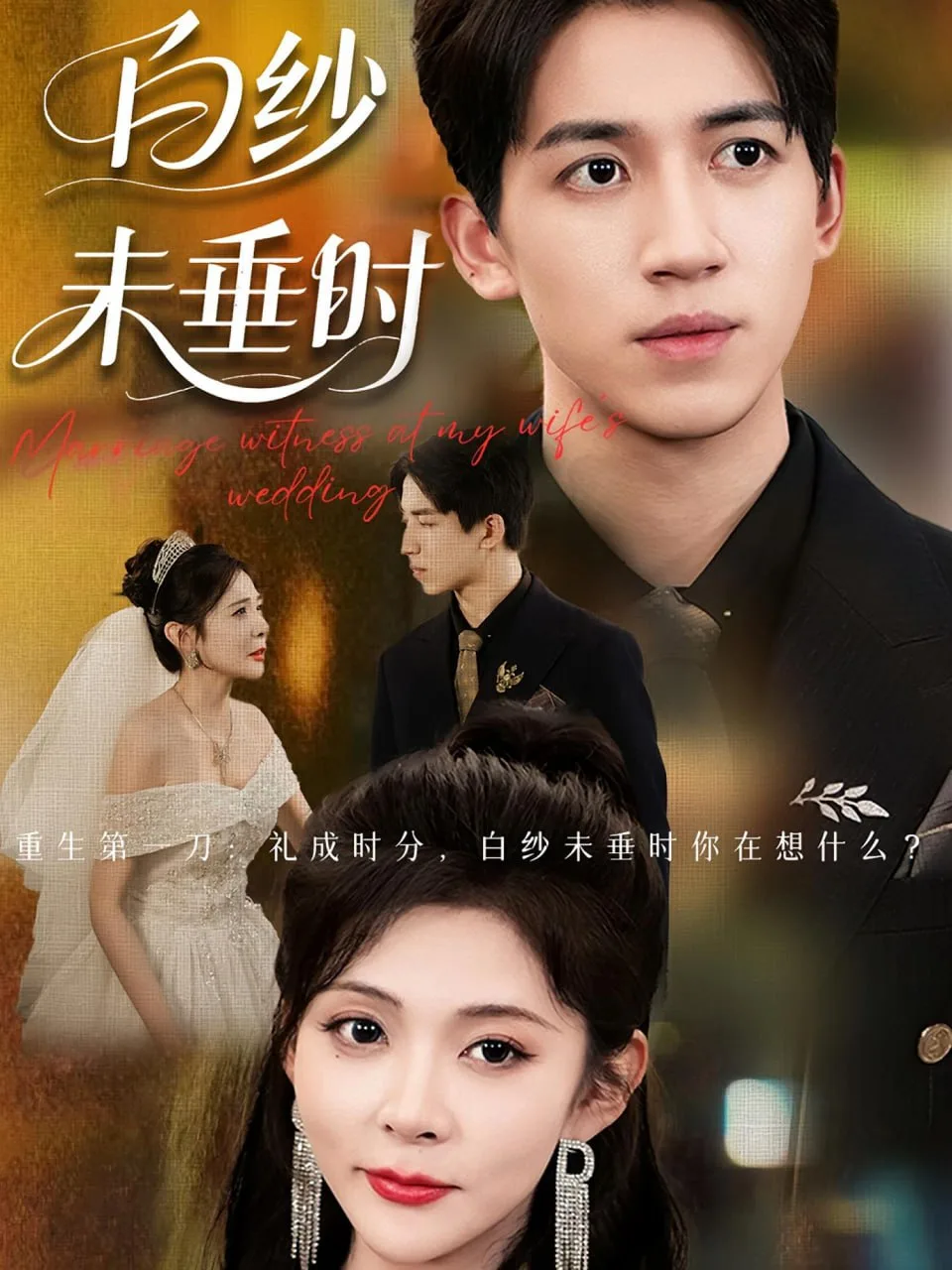 老婆婚礼我当证婚人（白纱未垂时）海报