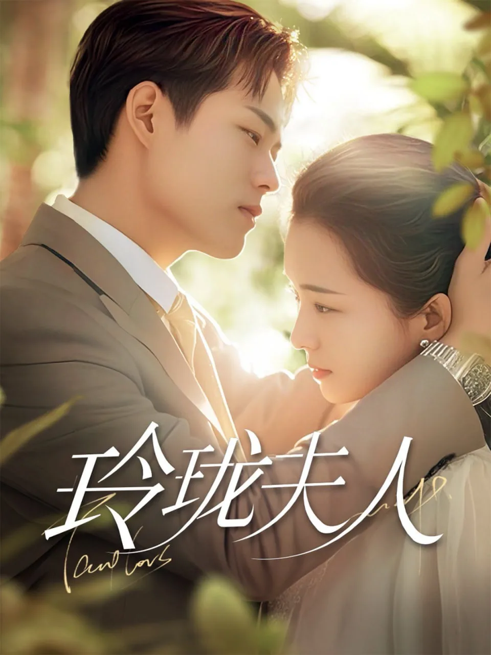 玲珑夫人海报