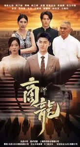 商龙海报
