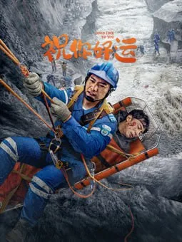 祝你好运 2025海报