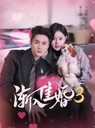渐入佳婚3第三部海报