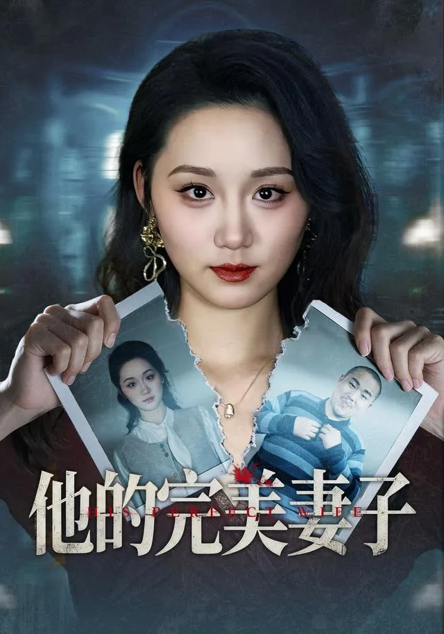 他的完美妻子海报