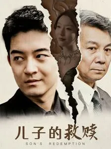 儿子的救赎海报