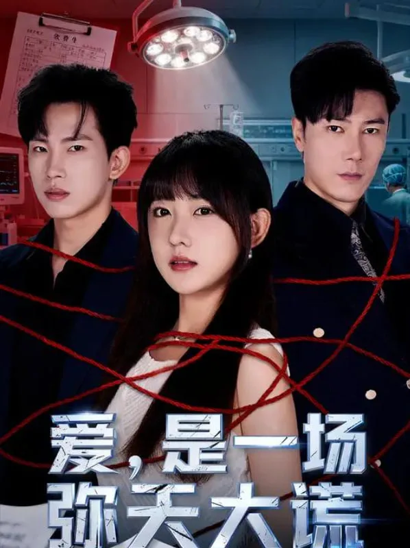 爱是一场弥天大谎海报