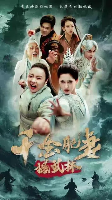 千金肥妻撼武林海报