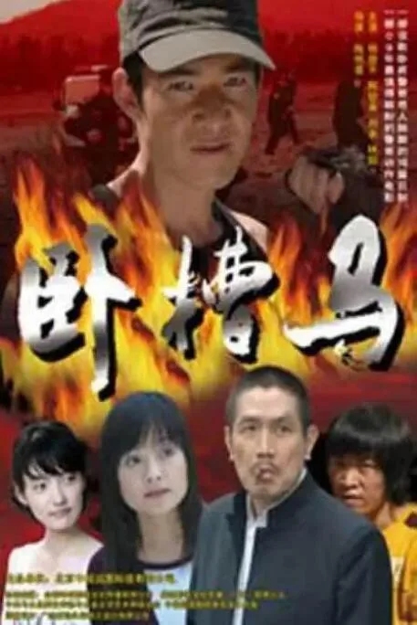 卧槽马海报