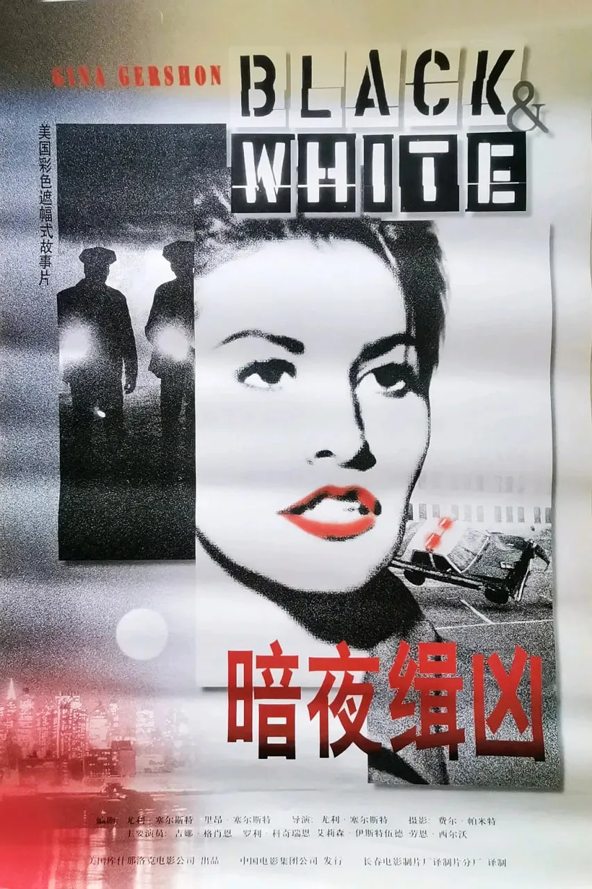 暗夜缉凶海报