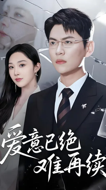 爱意已绝难再续海报