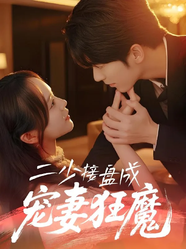 二少接盘成宠妻狂魔海报