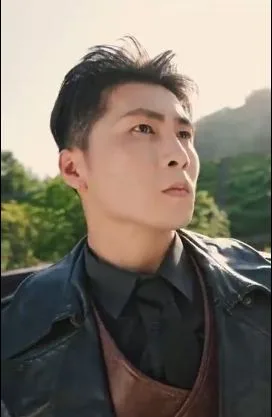 至尊天龙海报