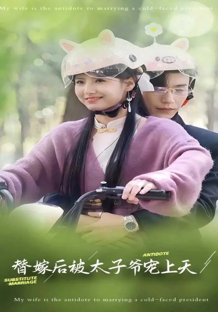 替嫁后被太子爷宠上天海报