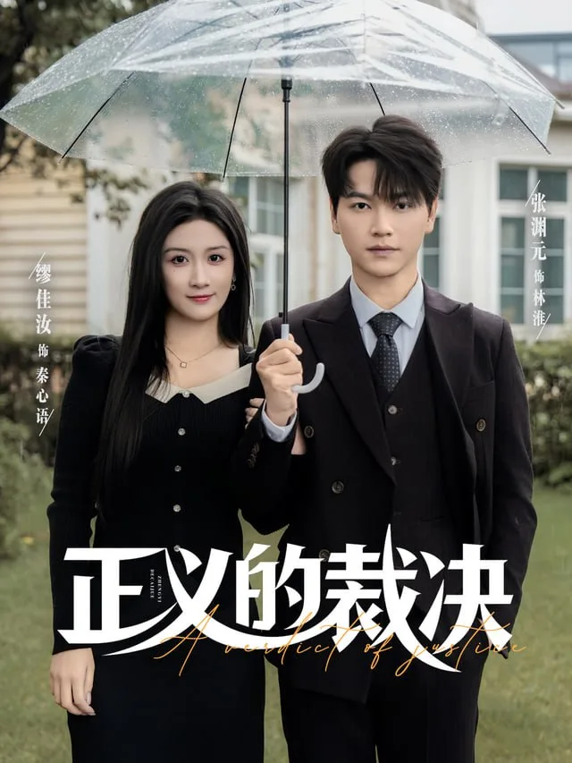 正义的裁决海报