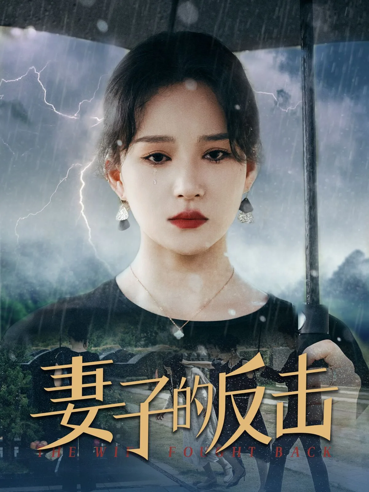 新妻子的反击海报