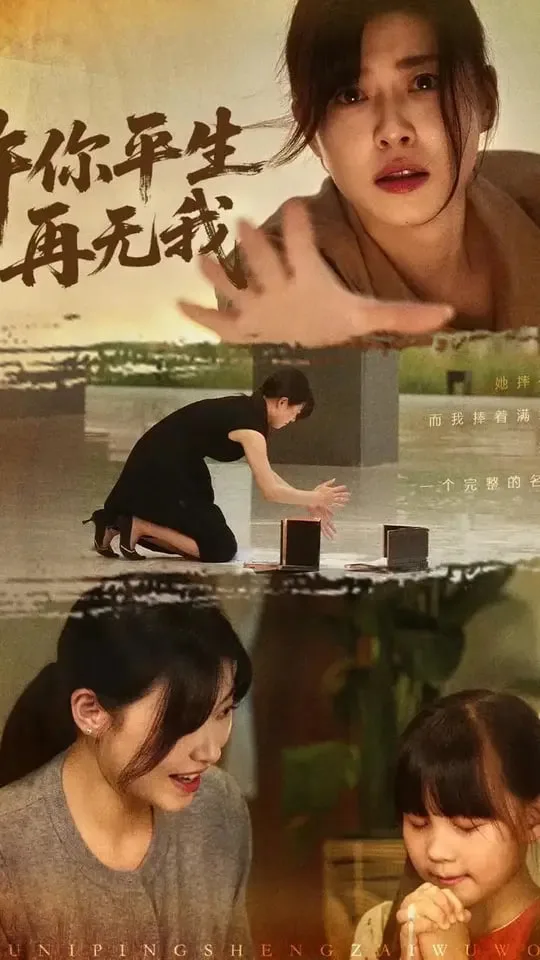 许你平生再无我海报