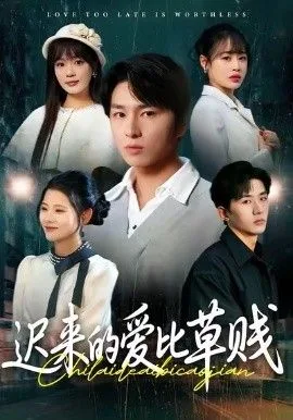迟来的爱比草贱海报