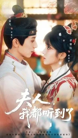 夫人，我都听到了，夫人每天都想被休海报