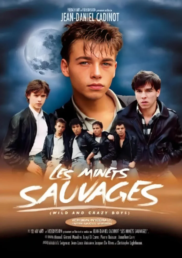 流浪爱侣海报
